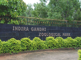 Indira Gandhi Zoological Park (IGZP)