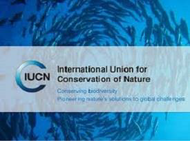 IUCN