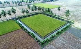 Natural Farming