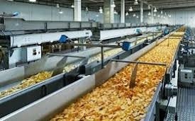Food processing sector