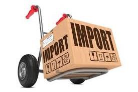 Import Dependence