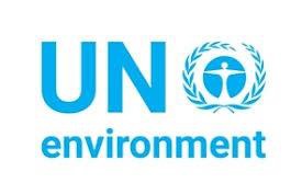 UNEP and Google