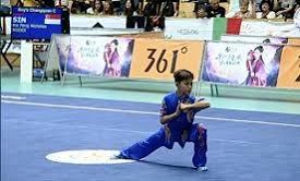 World Junior Wushu Championships