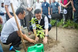 Tree Plantation Programme