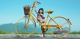 World Bicycle Day