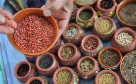 National Year of Millets
