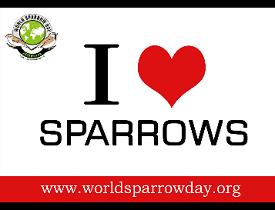 World Sparrow Day