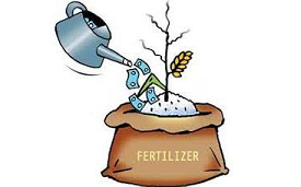 Fertilizer Subsidy