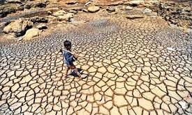 Maharashtra declares drought