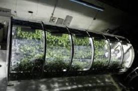 Inflatable Nasa’s Greenhouse