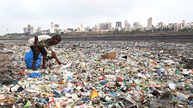 Deadline Plastic Disposal