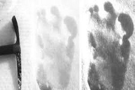 Yeti Footprints