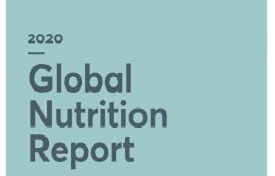 Global Nutrition Report