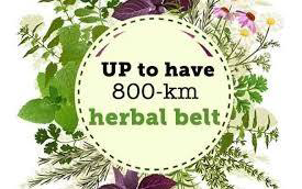 Herbal Roads