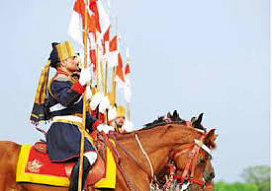 Horse Serving Cavalry