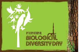 International Day of Biodiversity