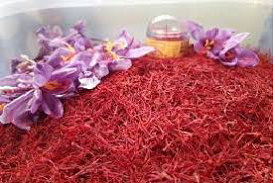 Kashmiri saffron