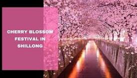 Cherry Blossom Festival