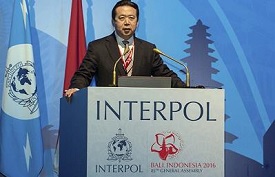 Interpol Chief
