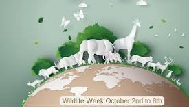  Wildlife Week