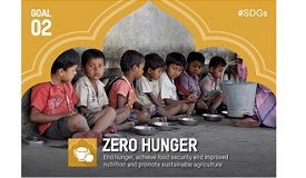 Zero Hunger Program