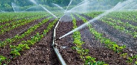 Loan for Irrigation Projects