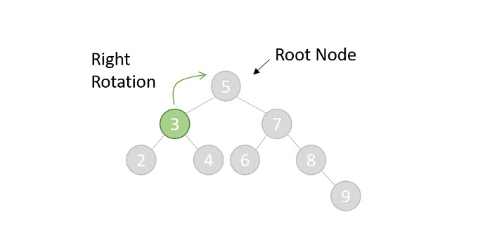 root node 5