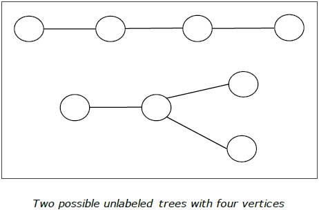 Two possible unlabeled trees with four vertices 