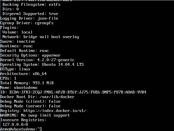 Docker Info Example Output