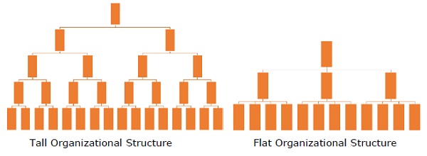 Organizational Chart