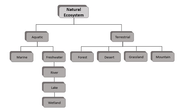 Ecosystem Chart