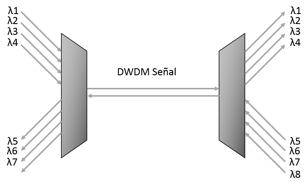 seal DWDM