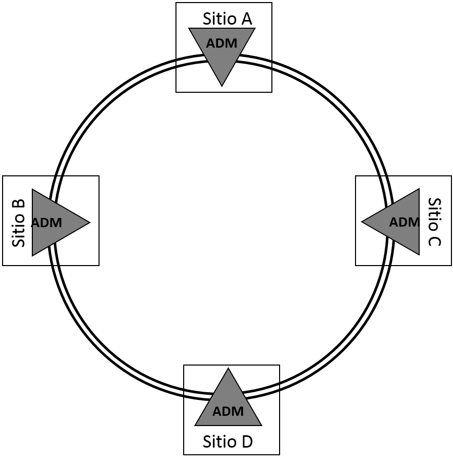 DWDM en Red