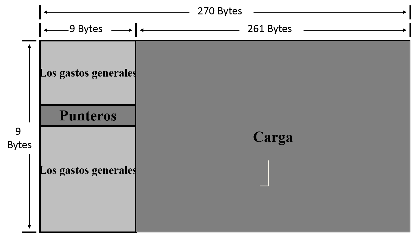 STM- 1 Marco