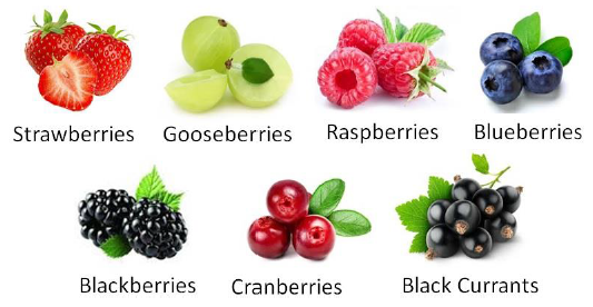 Berries Fruits