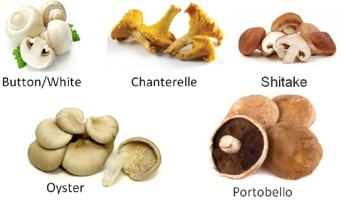 Fungi Vegetables