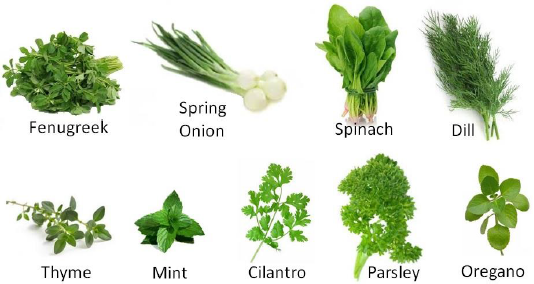 Leafy Vegetables