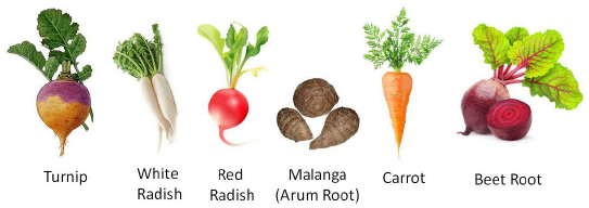 Root Vegetables