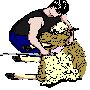 Agriculture Clipart 13