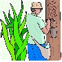 Agriculture Clipart 2