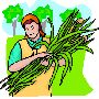 Agriculture Clipart 3