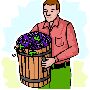 Agriculture Clipart 52