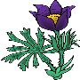 Beautiful Flowers Clipart 100