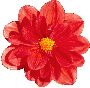 Beautiful Flowers Clipart 20
