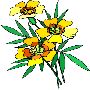 Beautiful Flowers Clipart 22