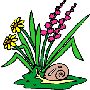 Beautiful Flowers Clipart 26