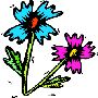 Beautiful Flowers Clipart 31