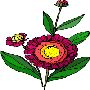 Beautiful Flowers Clipart 36