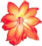 Beautiful Flowers Clipart 43