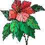 Beautiful Flowers Clipart 44